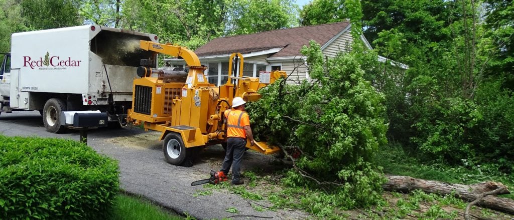 Tree care services