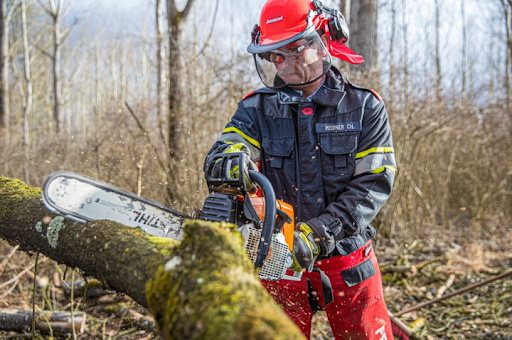 tree removal services