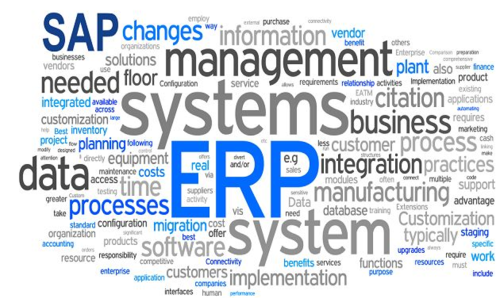 ERP Consultant