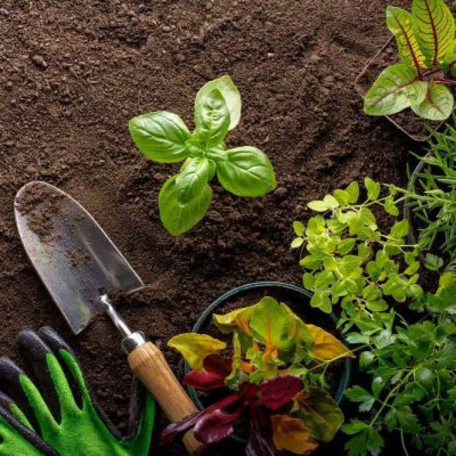Garden Supplies